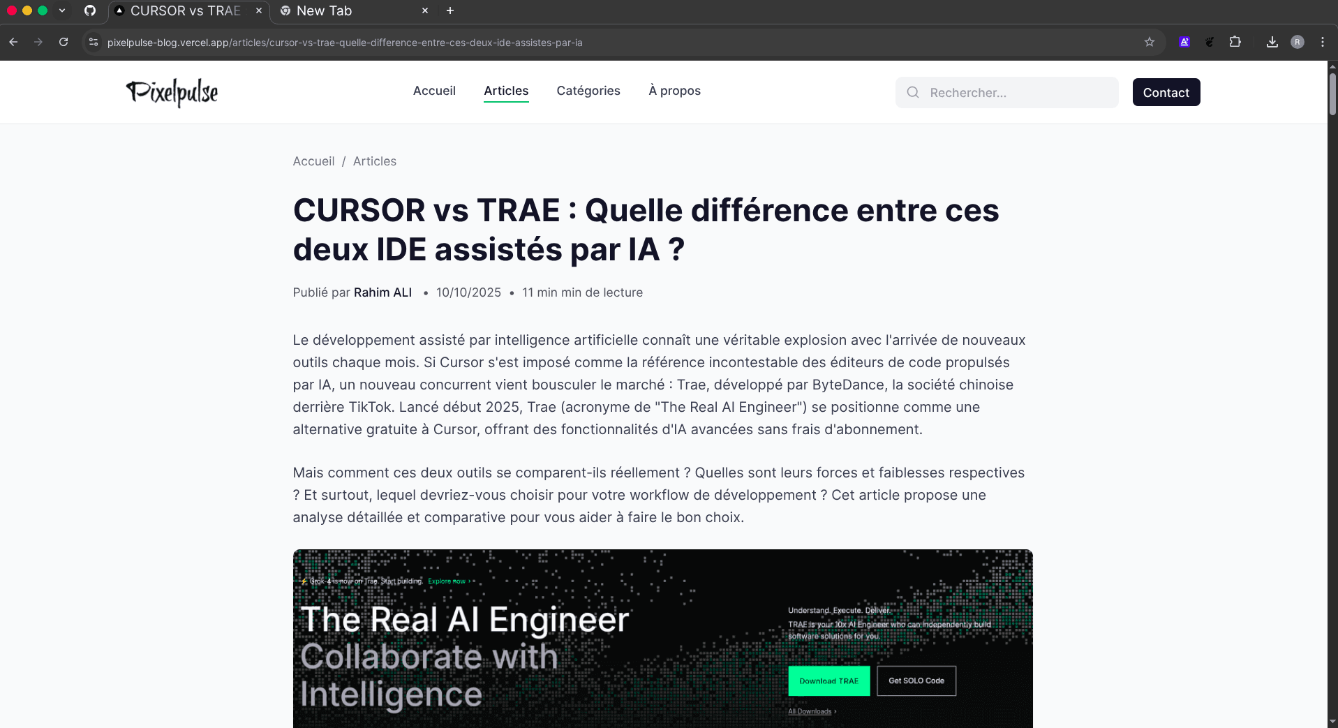 Project screenshot 3